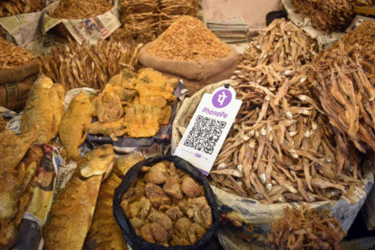 India raises UPI payment