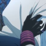 the case study of vanitas