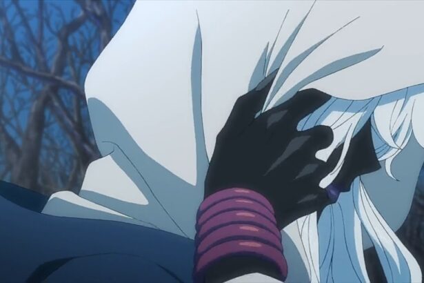 the case study of vanitas