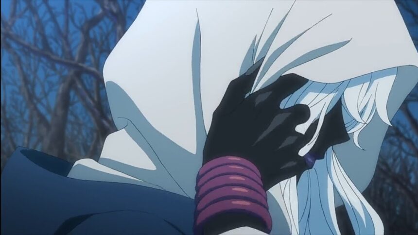 the case study of vanitas